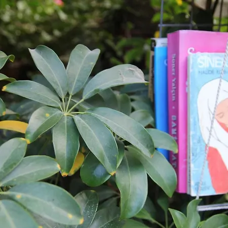 酒店 Eski 达特恰